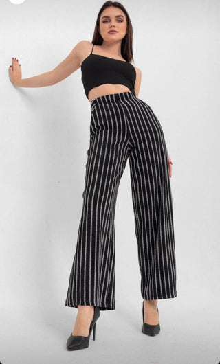 Black with Silver Lines embellished Pants FD